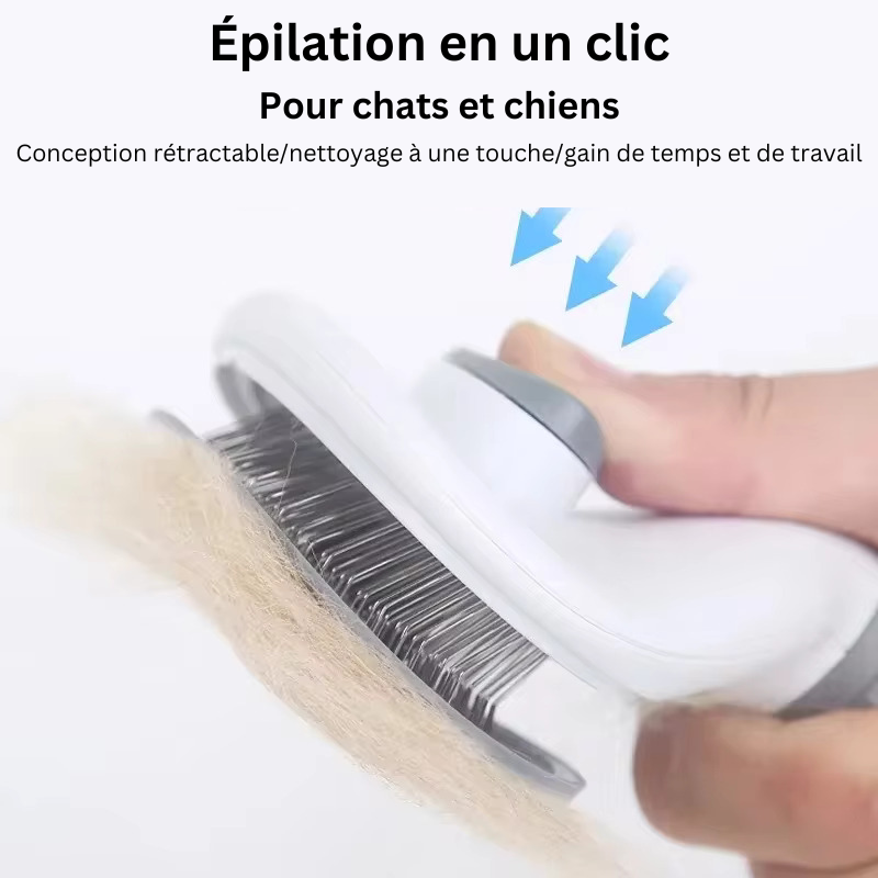 Brosse de toilettage