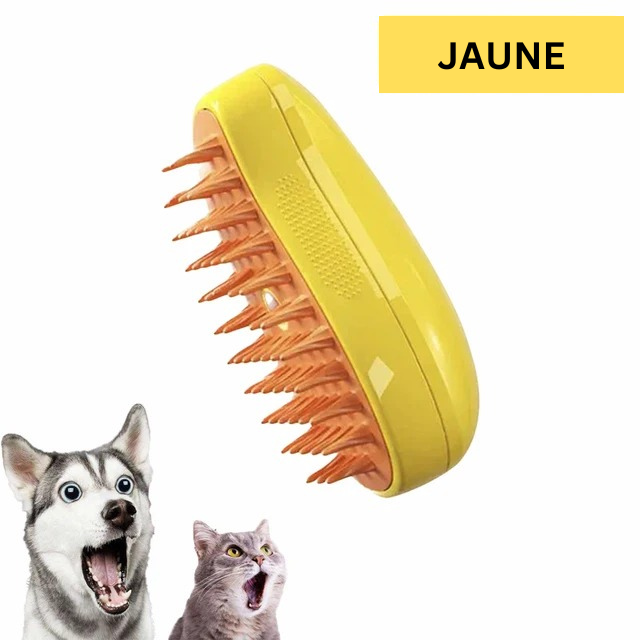 Brosse Vapeur 3 en 1