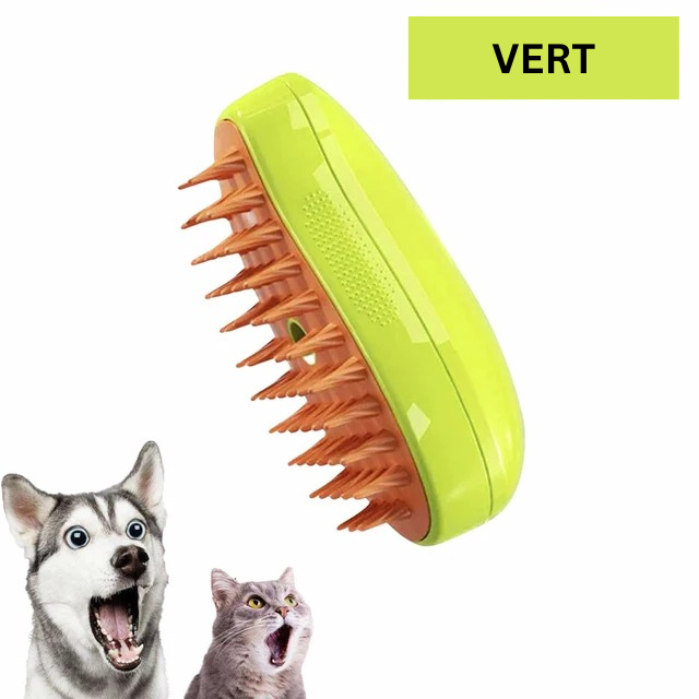 Brosse Vapeur 3 en 1